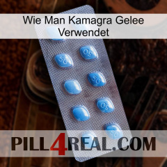 How To Use Kamagra Jelly viagra3